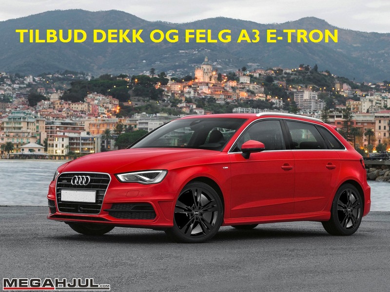 felger-og-dekk-audi-a3-e-tron